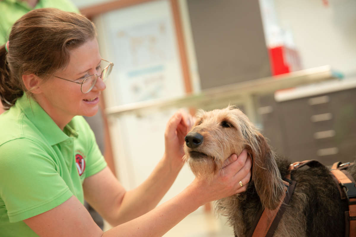 Tierarzt Praxis Dr. Claudia Thaler Wildschönau Oberau - Behandlung