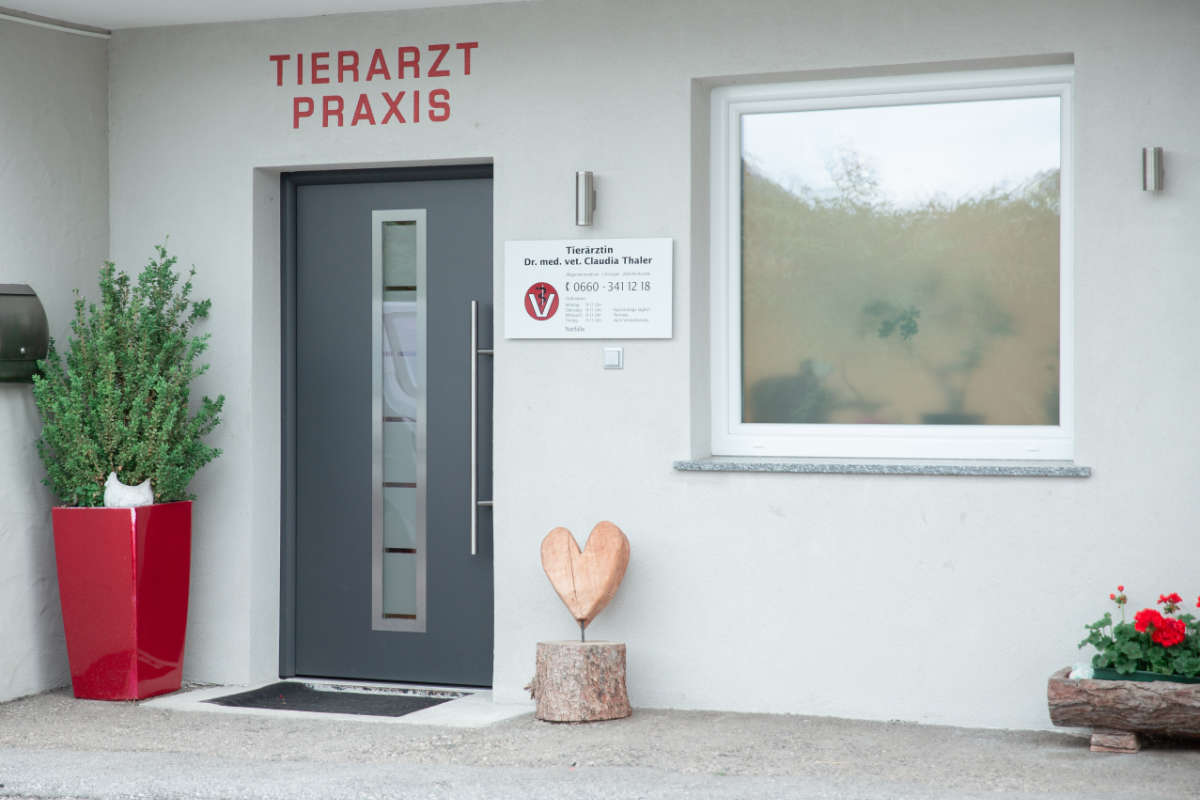 Tierarzt Praxis Dr. Claudia Thaler Wildschönau Oberau