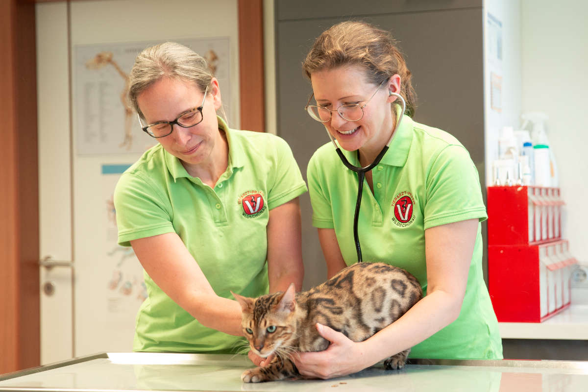 Tierarzt Praxis Dr. Claudia Thaler Wildschönau Oberau