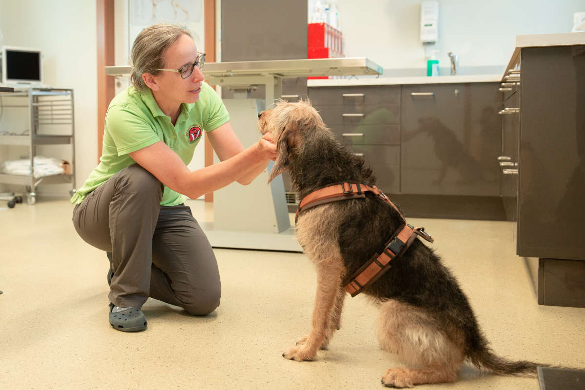 Tierarzt Praxis Dr. Claudia Thaler Wildschönau Oberau